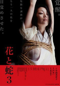 一路向西bt