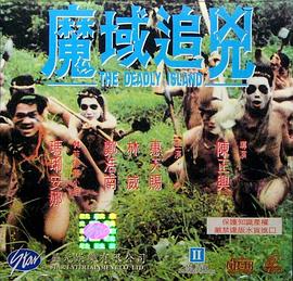 神探狄仁杰4張子健版