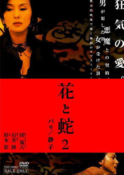 電視劇歲歲年年柿柿紅