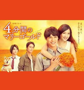 四分鐘的金盞菊