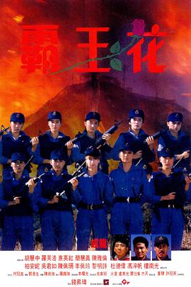 霸王花1988粵語(yǔ)
