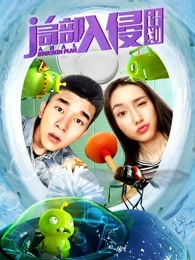 局部入侵計劃